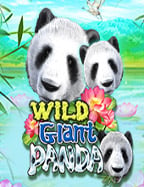 เคล็ดลับวิธีเล่นบาคาร่าให้ได้ตังแบบมืออาชีพ